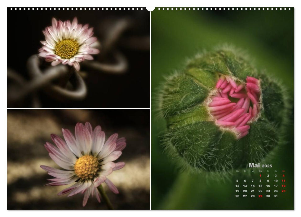 Blumenreise 2025 (CALVENDO Premium Wandkalender 2025)