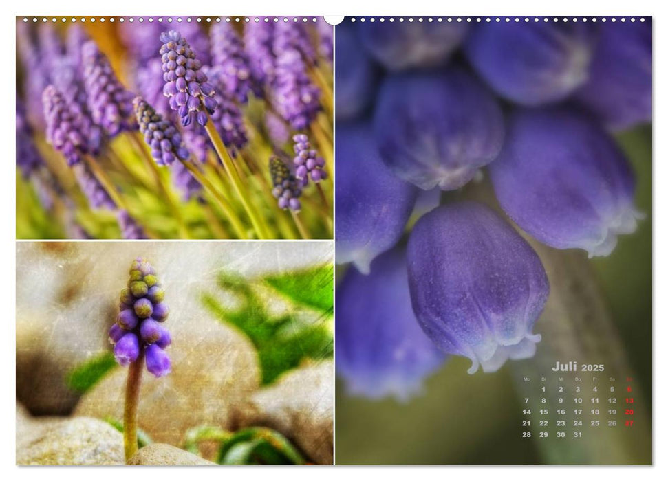 Blumenreise 2025 (CALVENDO Premium Wandkalender 2025)