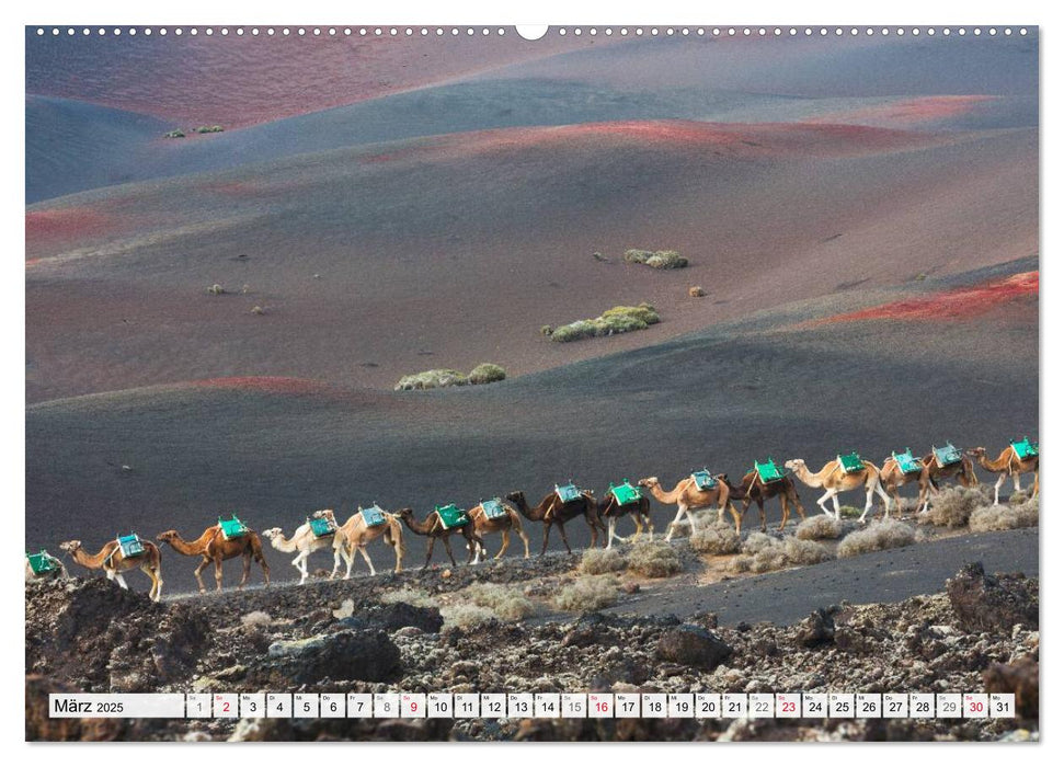 LANZAROTE Vulkanische Landschaften (CALVENDO Premium Wandkalender 2025)