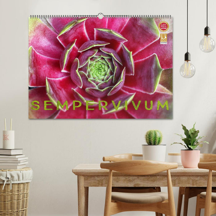 Sempervivum - Hauswurz (CALVENDO Wandkalender 2025)