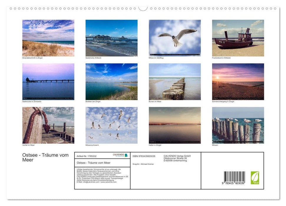 Ostsee - Träume vom Meer (CALVENDO Premium Wandkalender 2025)