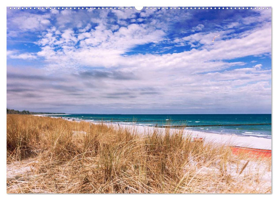 Ostsee - Träume vom Meer (CALVENDO Premium Wandkalender 2025)