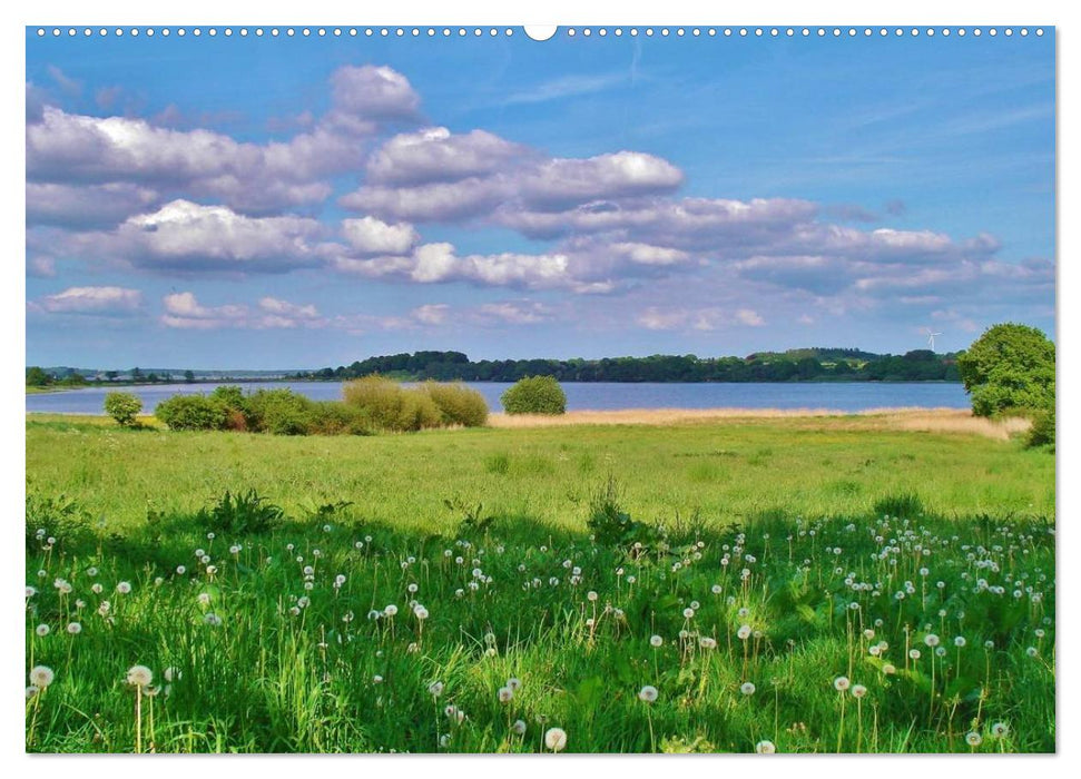 Die Ostsee - von Schleswig nach Glücksburg (CALVENDO Premium Wandkalender 2025)