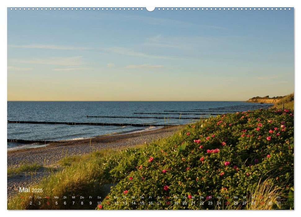 Anblicke und Ausblicke auf Fischland Darß (CALVENDO Premium Wandkalender 2025)