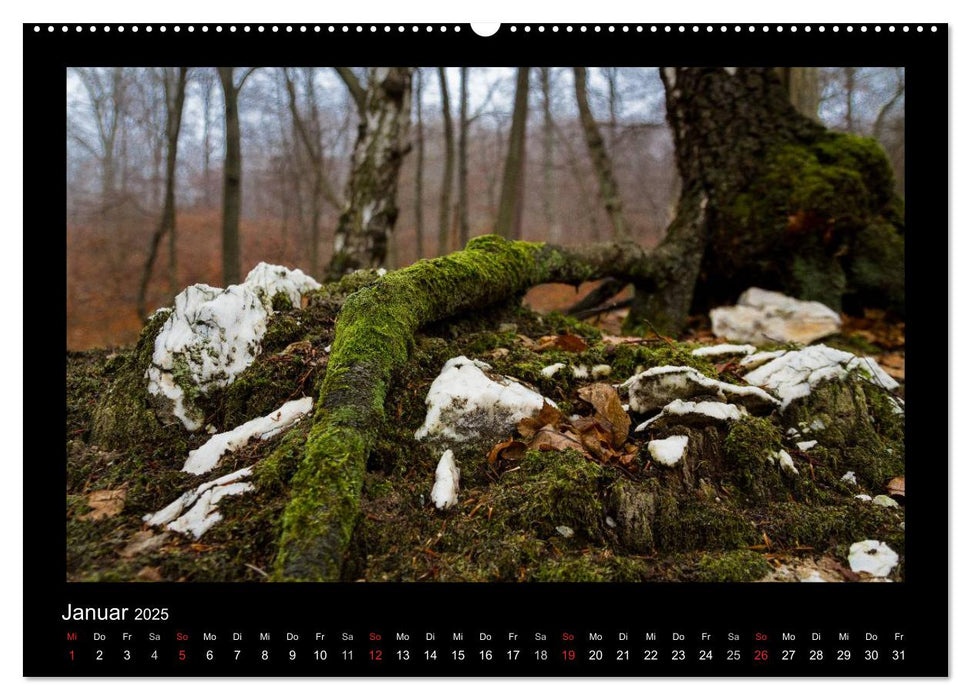 Am Karstwanderweg im Südharz (CALVENDO Premium Wandkalender 2025)