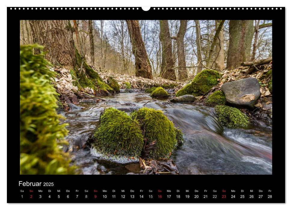 Am Karstwanderweg im Südharz (CALVENDO Premium Wandkalender 2025)