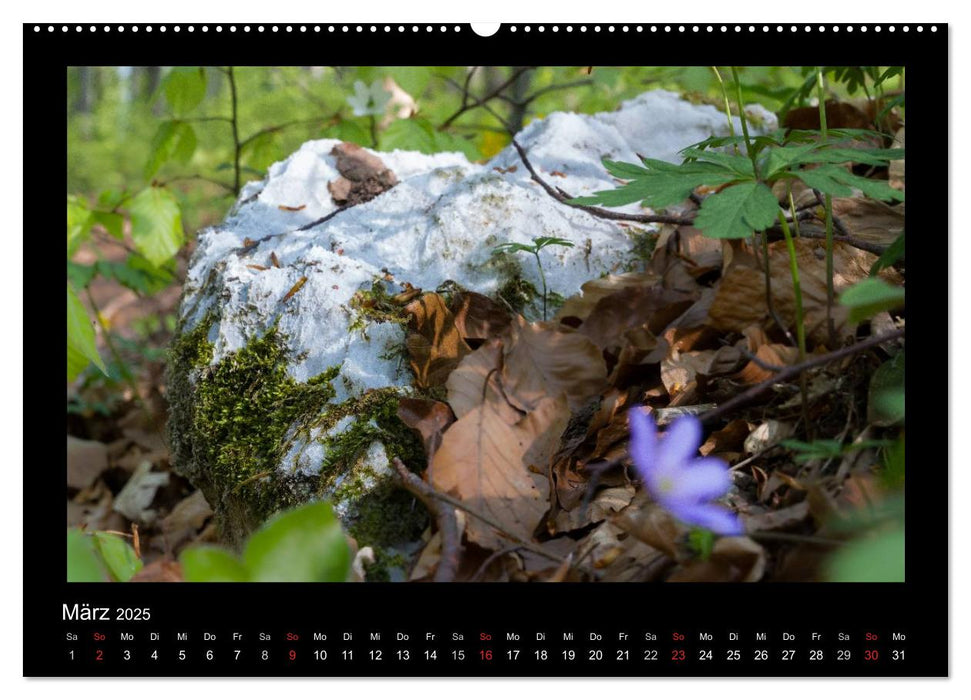 Am Karstwanderweg im Südharz (CALVENDO Premium Wandkalender 2025)