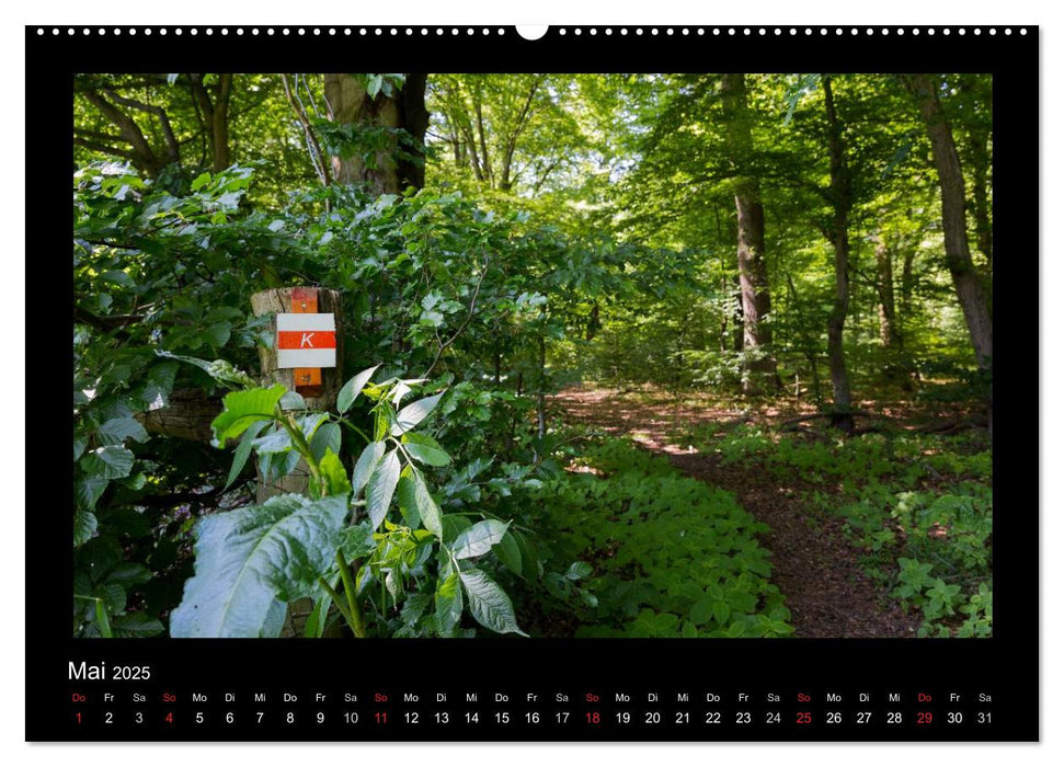 Am Karstwanderweg im Südharz (CALVENDO Premium Wandkalender 2025)