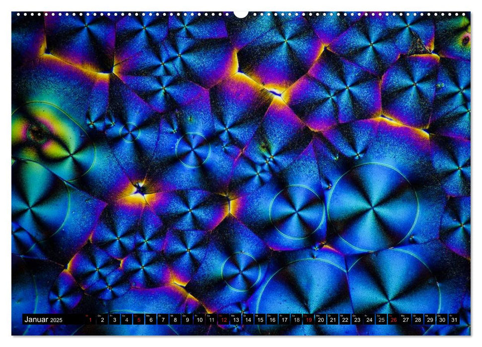 Mikrokristalle in polarisiertem Licht (CALVENDO Premium Wandkalender 2025)
