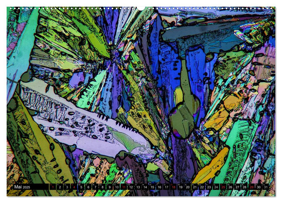 Mikrokristalle in polarisiertem Licht (CALVENDO Premium Wandkalender 2025)
