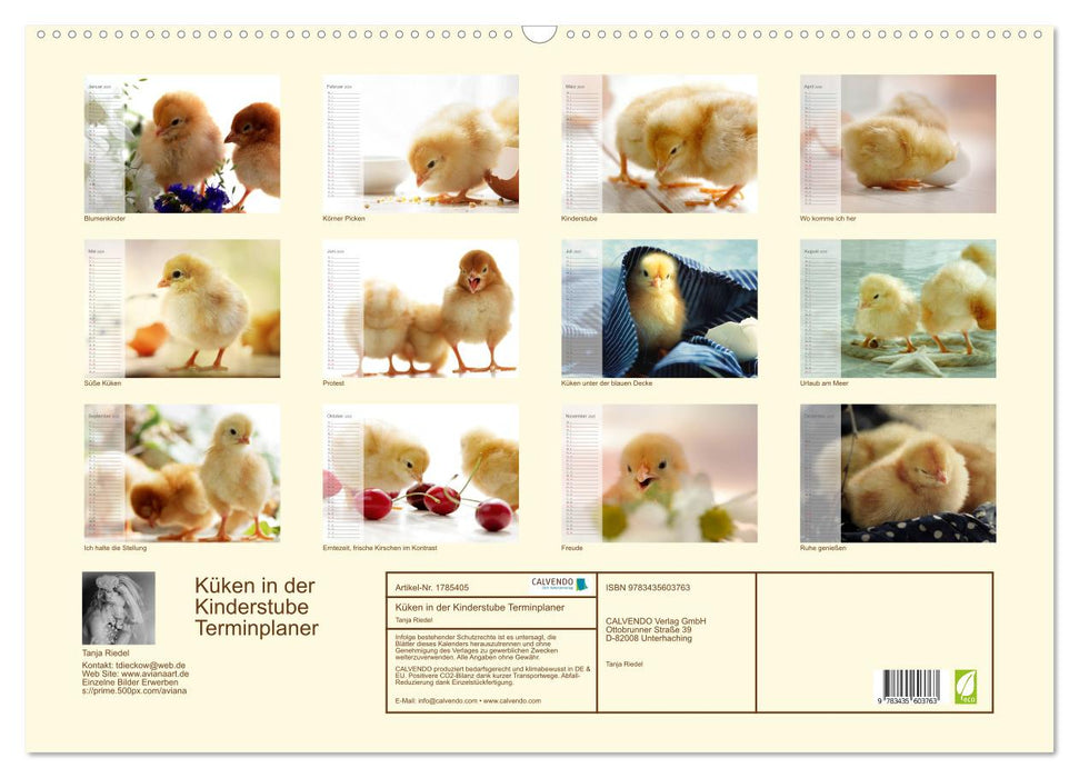 Küken in der Kinderstube Terminplaner (CALVENDO Wandkalender 2025)