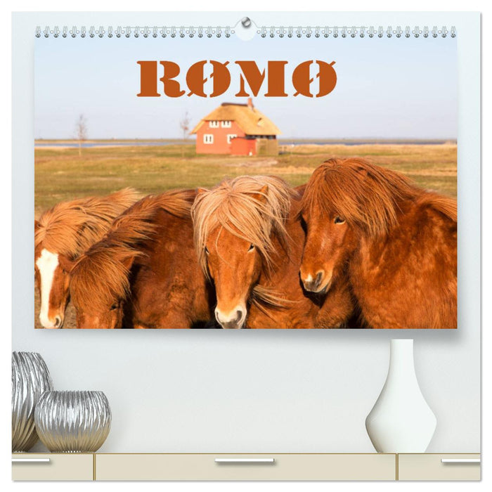 Rømø (CALVENDO Premium Wandkalender 2025)