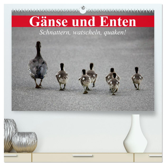 Gänse und Enten. Schnattern, watscheln, quaken! (CALVENDO Premium Wandkalender 2025)