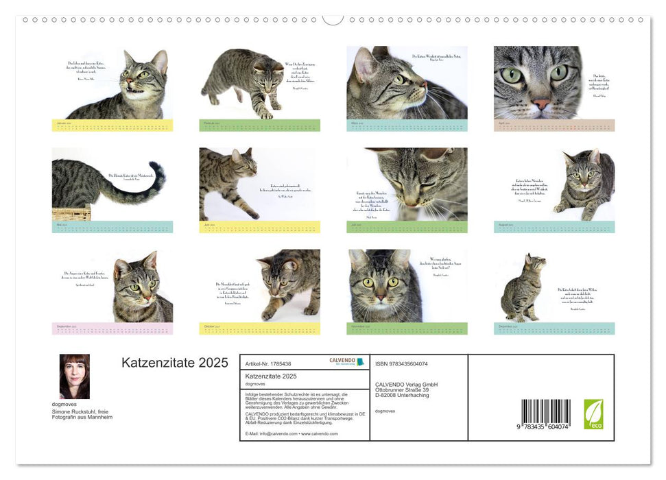 Katzenzitate 2025 (CALVENDO Premium Wandkalender 2025)