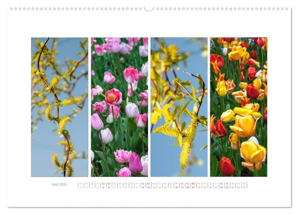 Gartenfreude (CALVENDO Premium Wandkalender 2025)