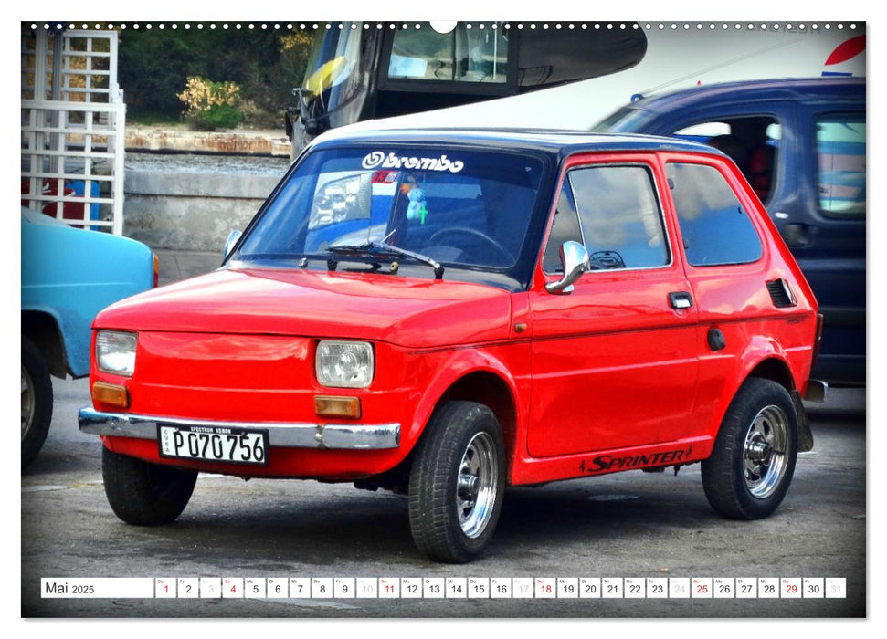 FIAT - Italienische Oldtimer in Kuba (CALVENDO Wandkalender 2025)