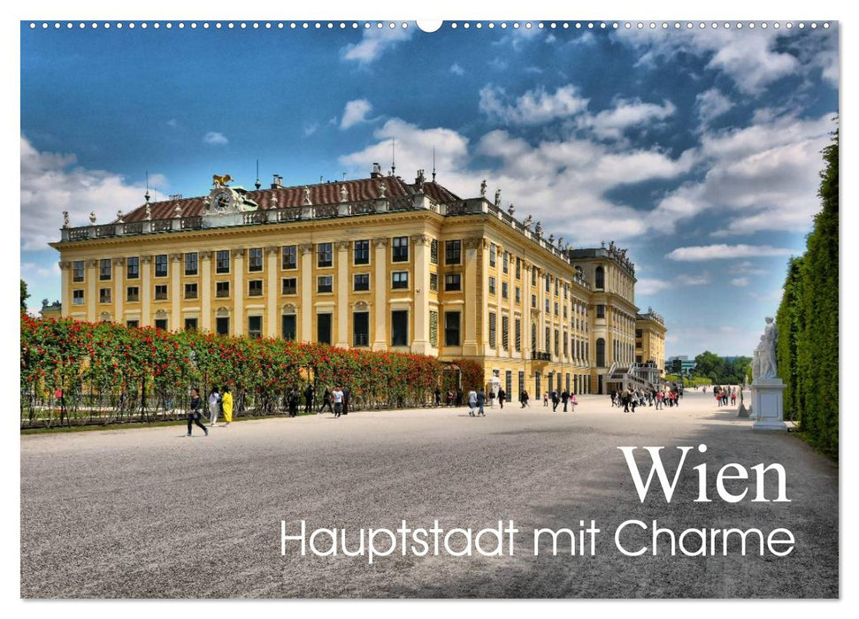 Wien - Haupstadt mit Charme (CALVENDO Wandkalender 2025)