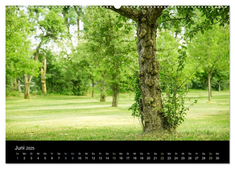 GARCHING - Münchens schöner Norden (CALVENDO Wandkalender 2025)