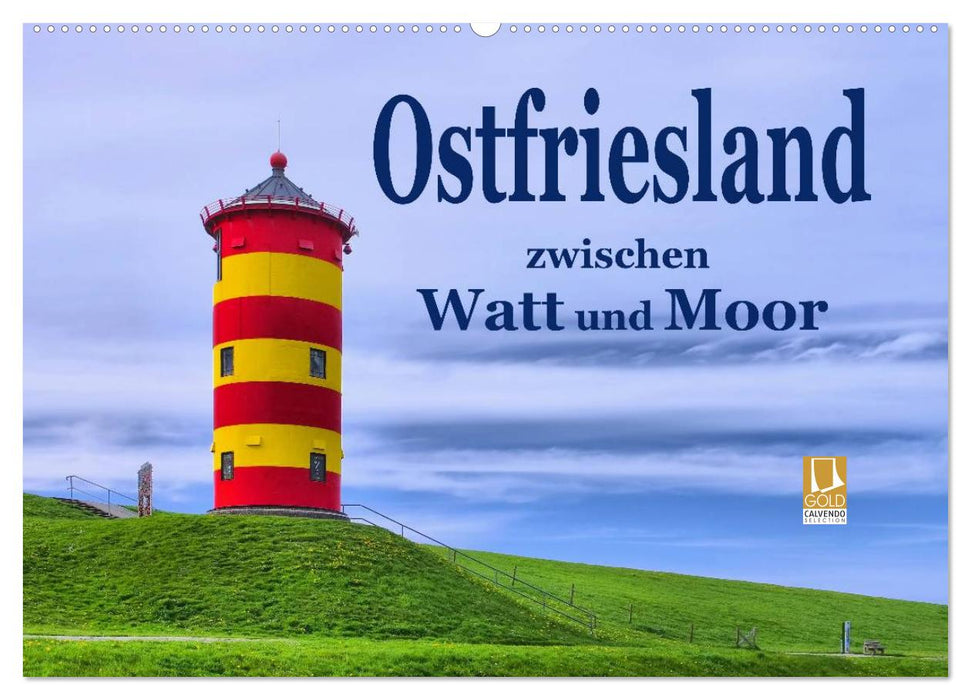 Ostfriesland - zwischen Watt und Moor (CALVENDO Wandkalender 2025)