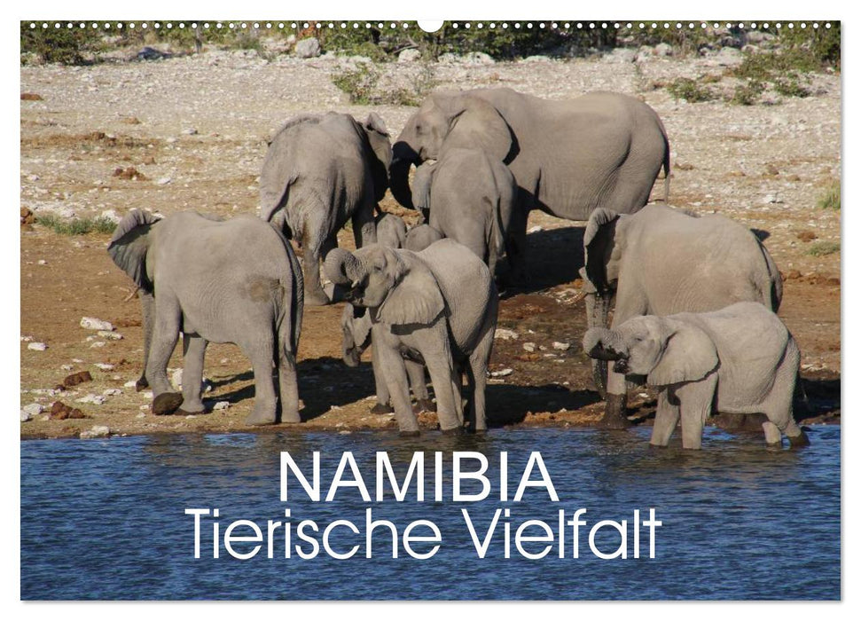 Namibia - Tierische Vielfalt (CALVENDO Wandkalender 2025)