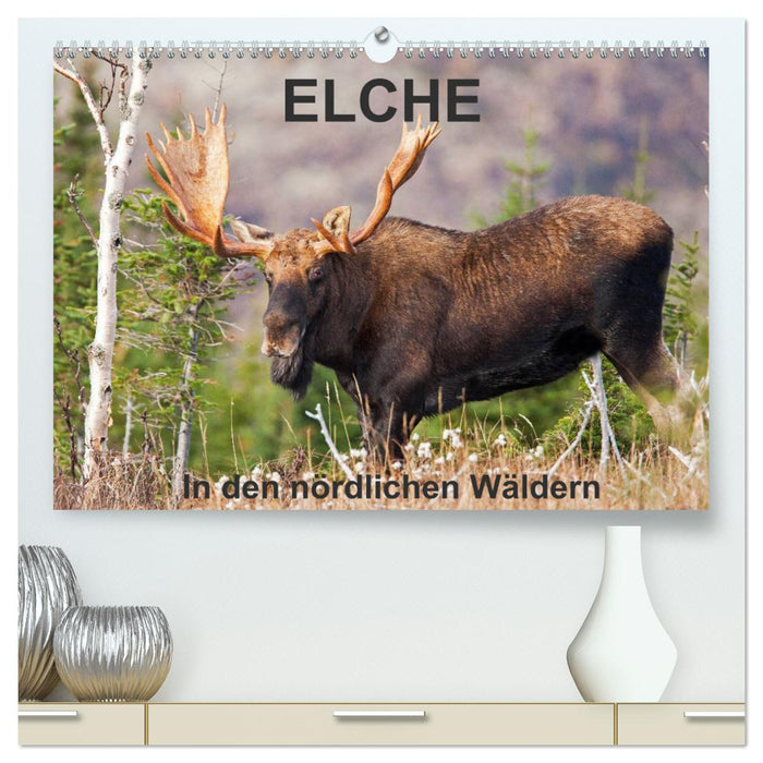 ELCHE In den nördlichen Wäldern (CALVENDO Premium Wandkalender 2025)