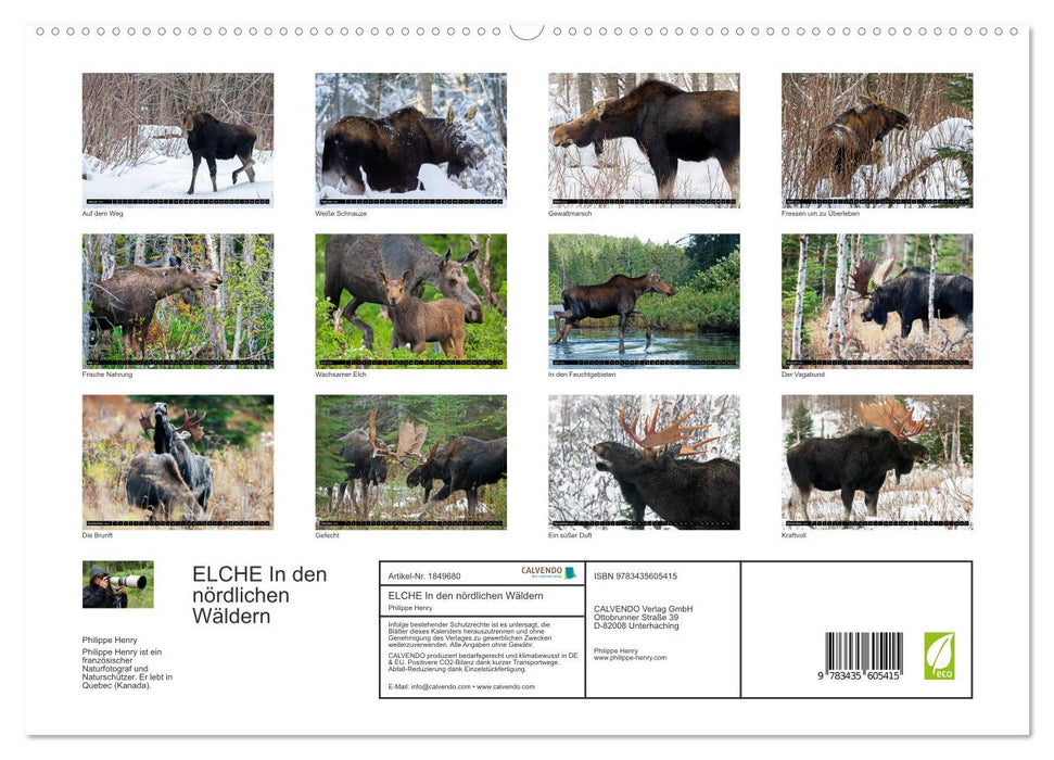 ELCHE In den nördlichen Wäldern (CALVENDO Premium Wandkalender 2025)