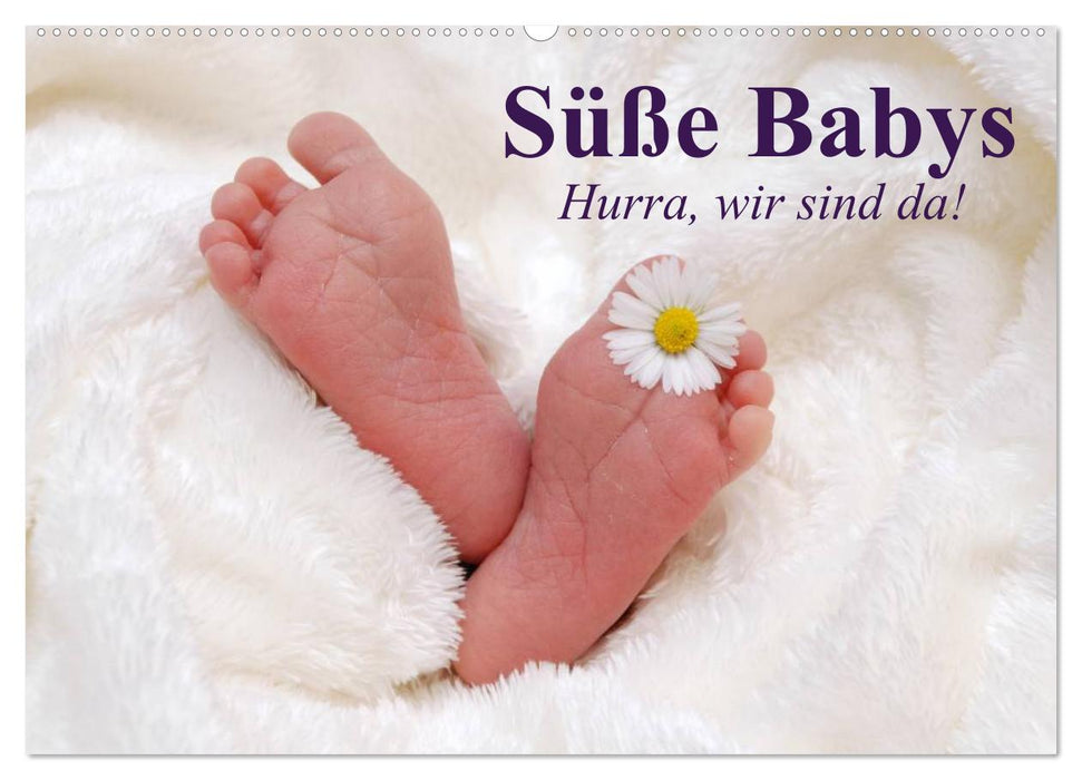 Süße Babys. Hurra, wir sind da! (CALVENDO Wandkalender 2025)