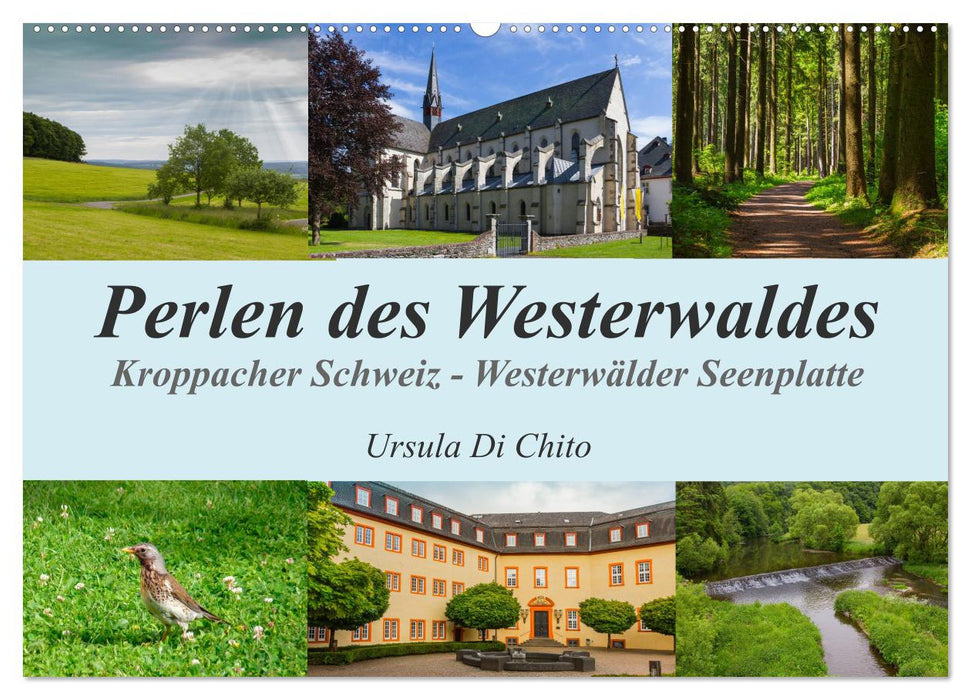 Perlen des Westerwaldes (CALVENDO Wandkalender 2025)