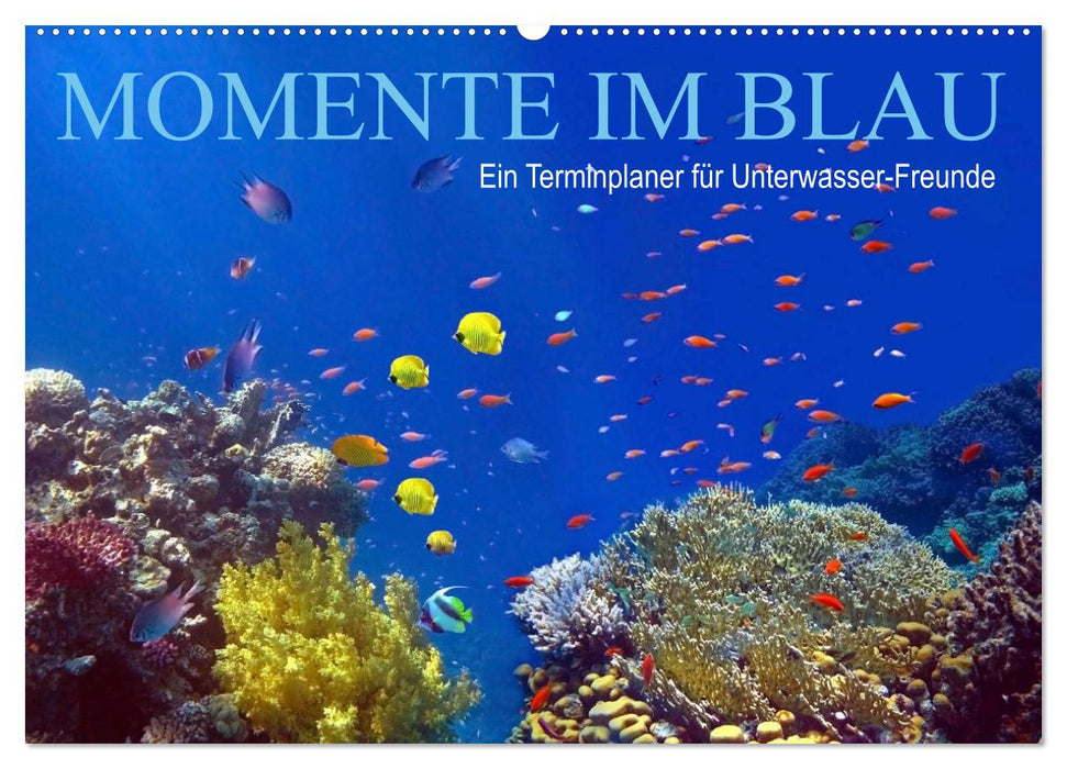 Momente im Blau - Ein Terminplaner für Unterwasser-Freunde (CALVENDO Wandkalender 2025)