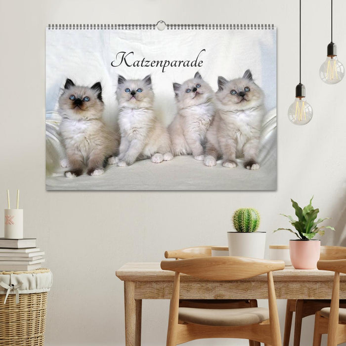 Katzenparade (CALVENDO Wandkalender 2025)