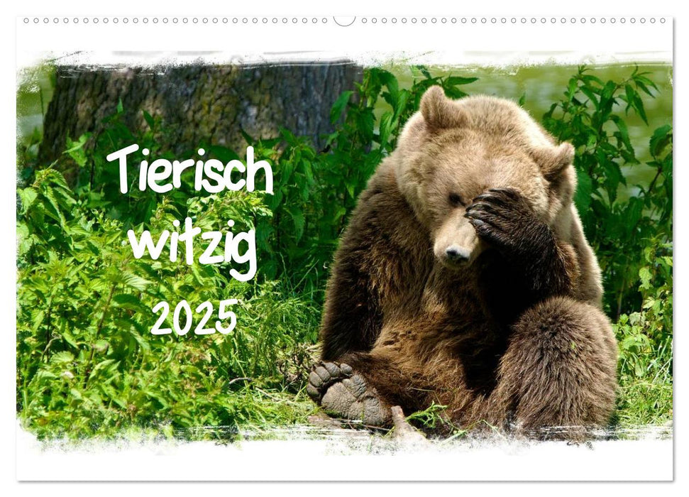 Tierisch witzig (CALVENDO Wandkalender 2025)