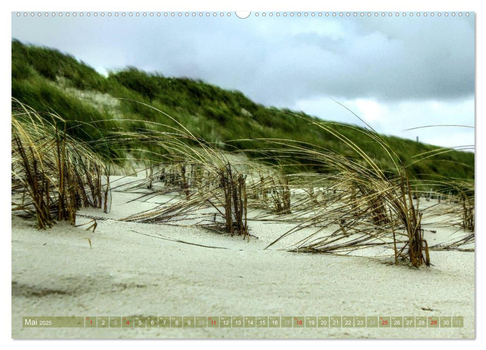 Sylt - Der Ellenbogen (CALVENDO Wandkalender 2025)