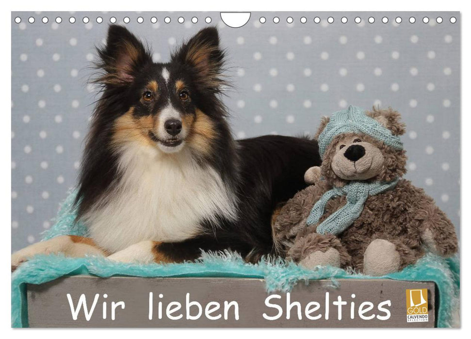 Wir lieben Shelties (CALVENDO Wandkalender 2025)