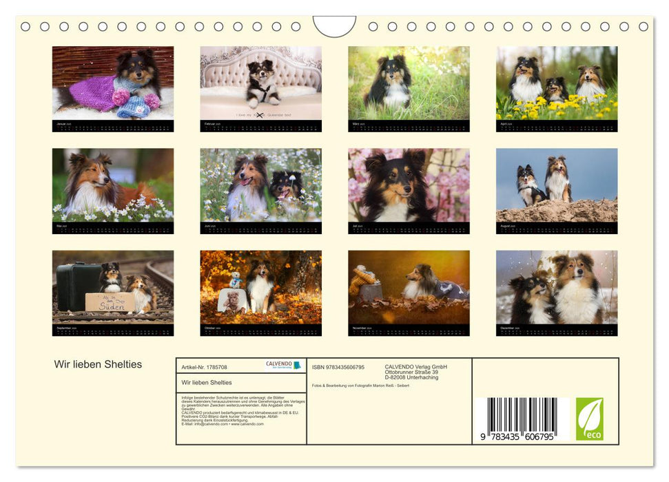 Wir lieben Shelties (CALVENDO Wandkalender 2025)