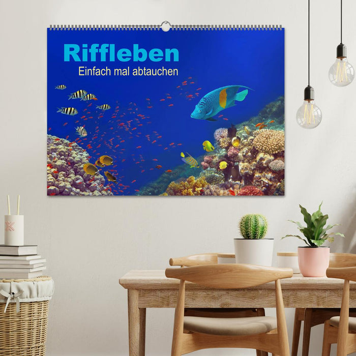 Riffleben - Einfach mal abtauchen (CALVENDO Wandkalender 2025)