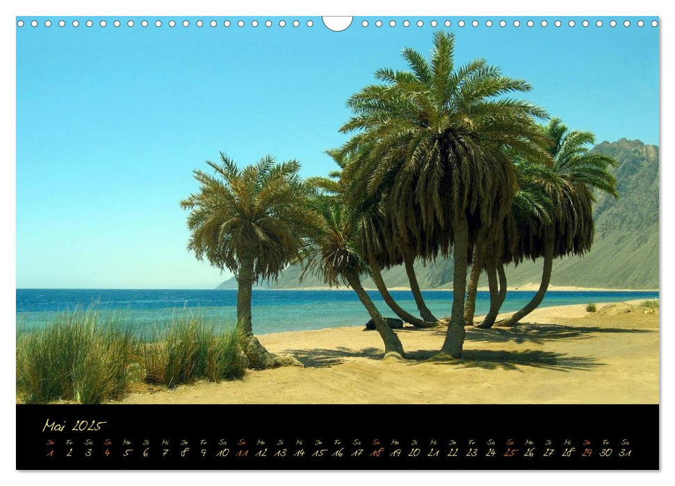 Ägypten - Eine Entdeckungsreise (CALVENDO Wandkalender 2025)