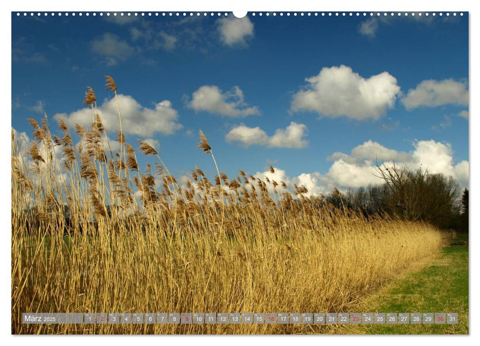 Bezauberndes Ampertal bei Moosburg (CALVENDO Wandkalender 2025)