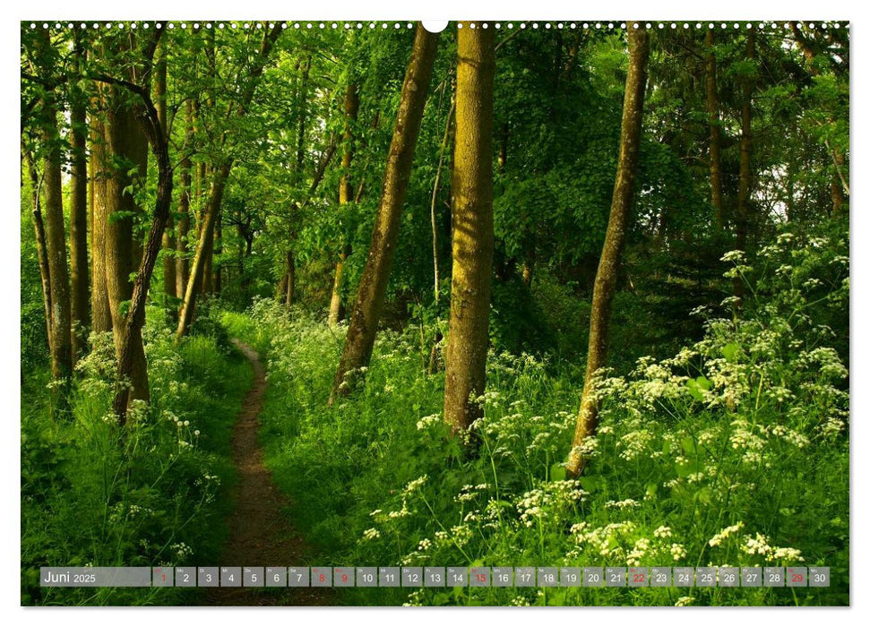 Bezauberndes Ampertal bei Moosburg (CALVENDO Wandkalender 2025)