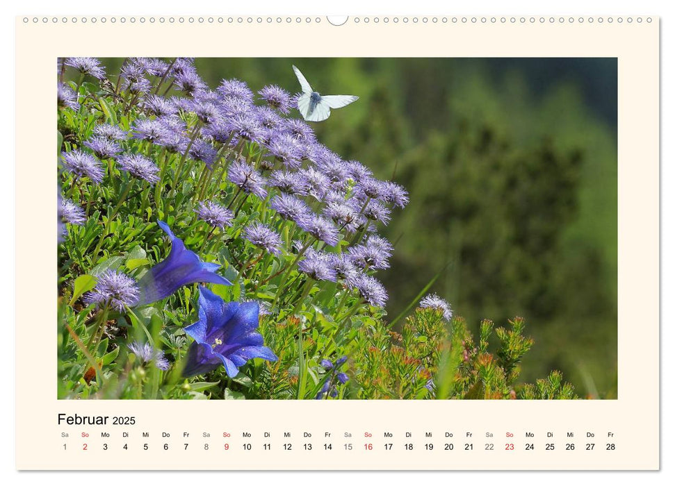Blütenzauber in Tirol (CALVENDO Wandkalender 2025)