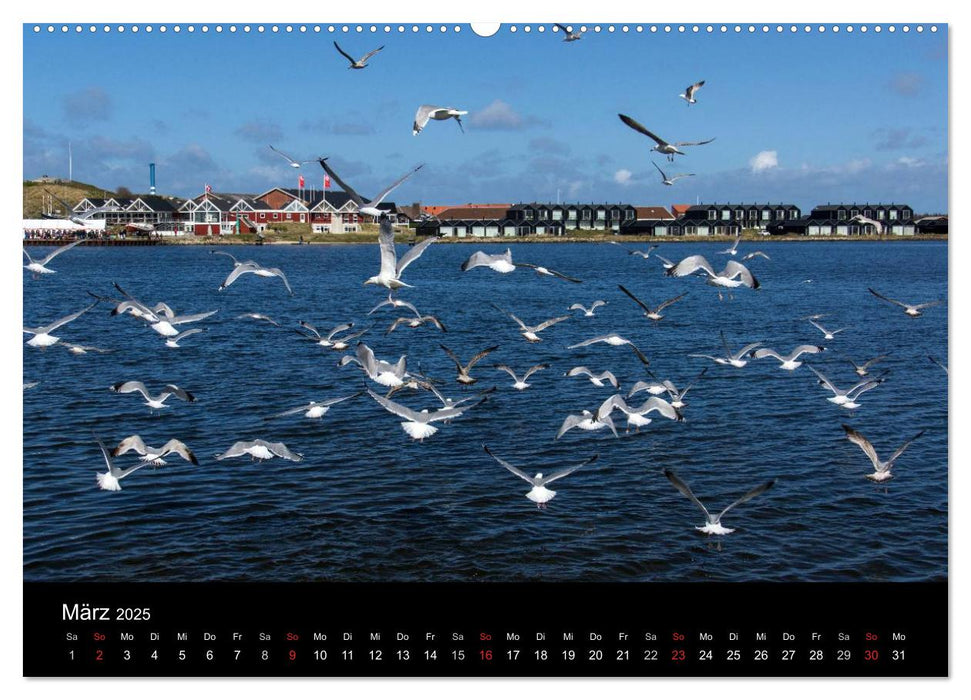 Dänemark - Umgebung von Hvide Sande (CALVENDO Wandkalender 2025)