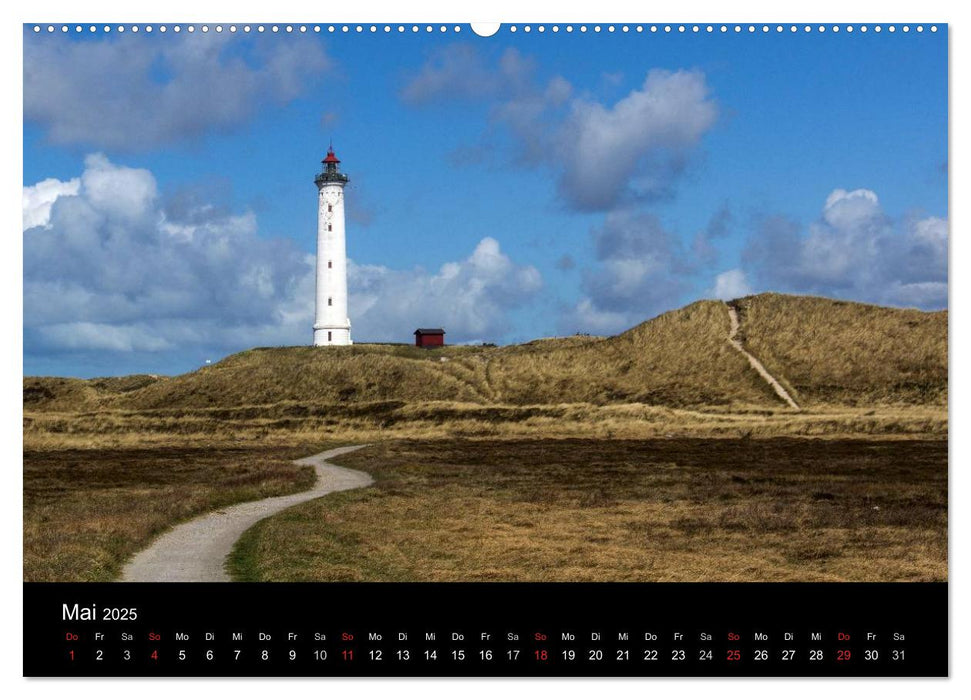 Dänemark - Umgebung von Hvide Sande (CALVENDO Wandkalender 2025)