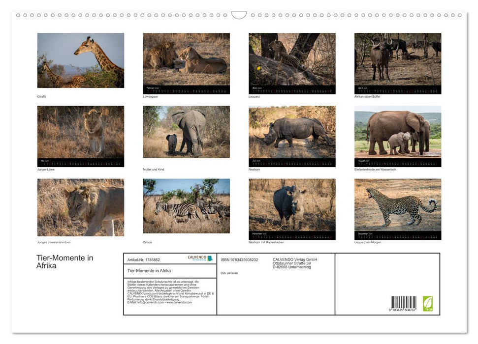 Tier-Momente in Afrika (CALVENDO Wandkalender 2025)