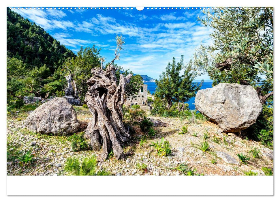 Wildes und romantisches Mallorca (CALVENDO Wandkalender 2025)