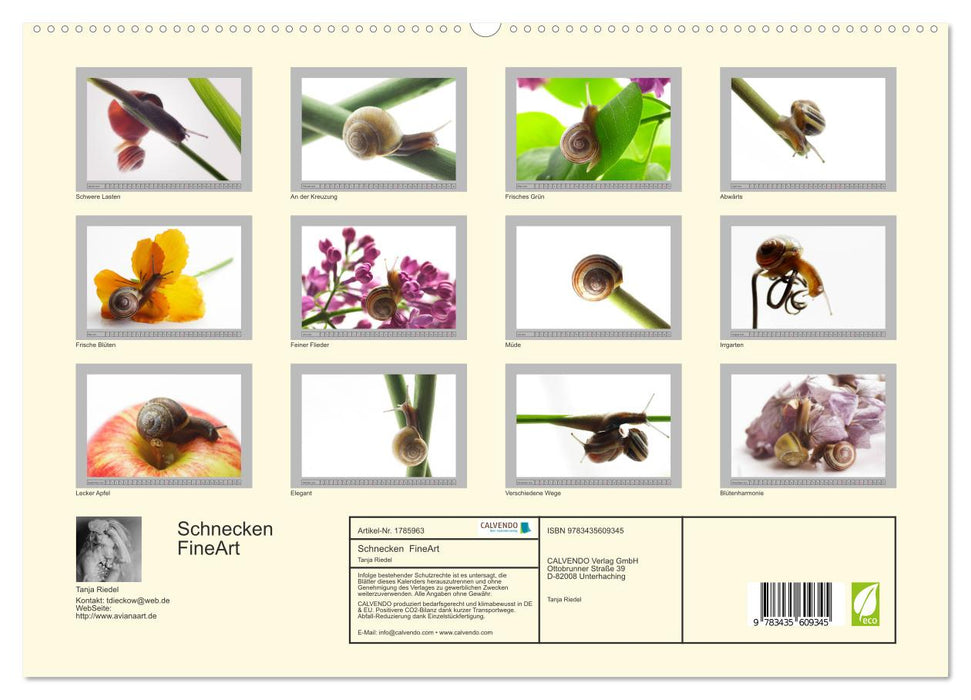 Schnecken FineArt (CALVENDO Premium Wandkalender 2025)