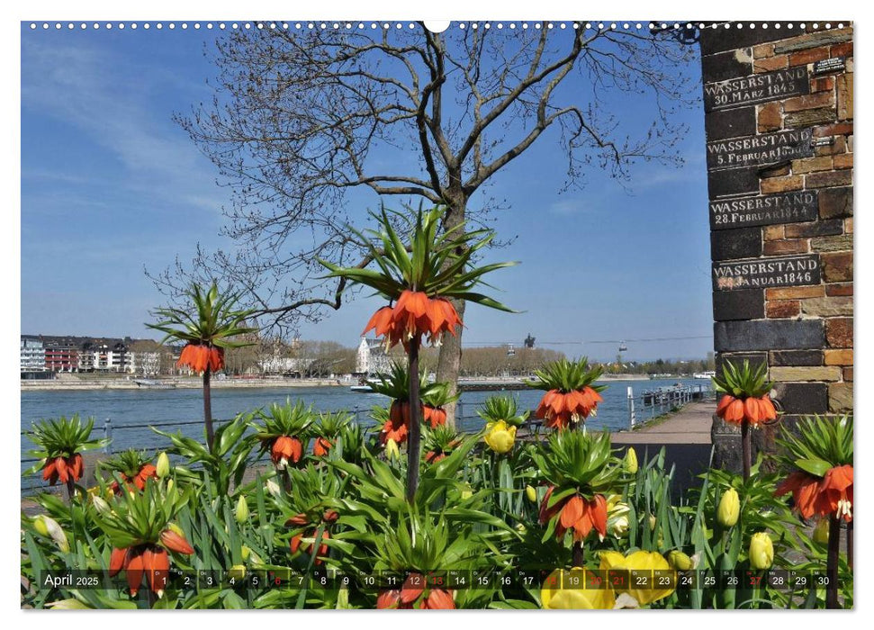 Koblenz Die Stadt am Deutschen Eck (CALVENDO Wandkalender 2025)