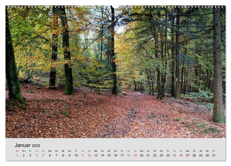 Saarland - unbekannte Schönheit (CALVENDO Wandkalender 2025)