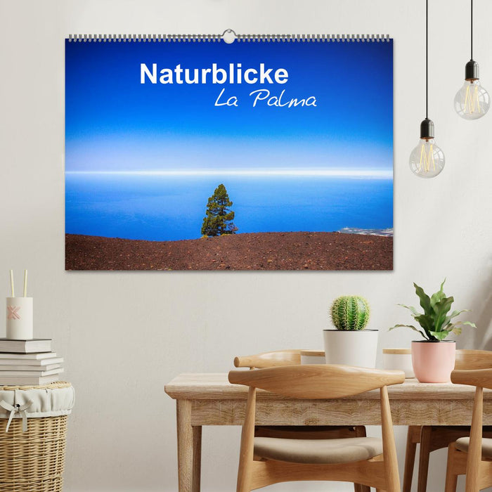 Naturblicke - La Palma (CALVENDO Wandkalender 2025)