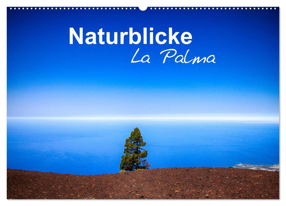 Naturblicke - La Palma (CALVENDO Wandkalender 2025)