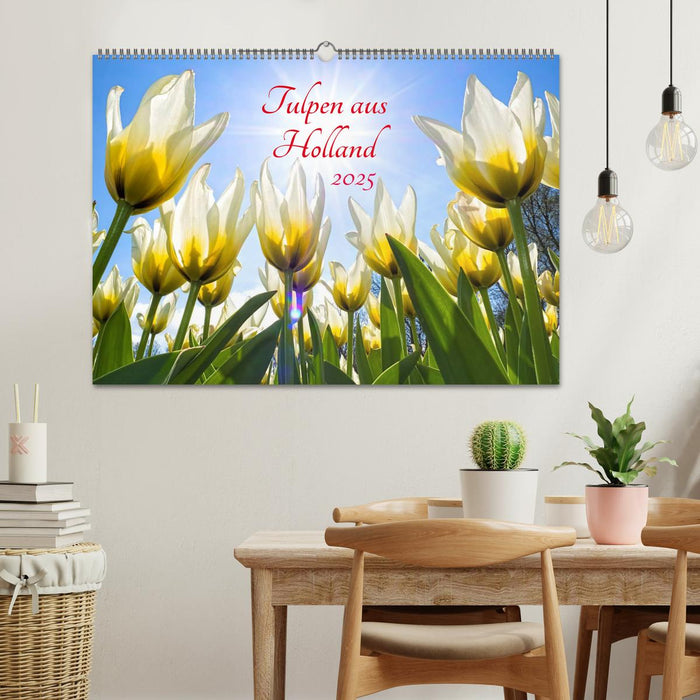 Tulpen aus Holland (CALVENDO Wandkalender 2025)