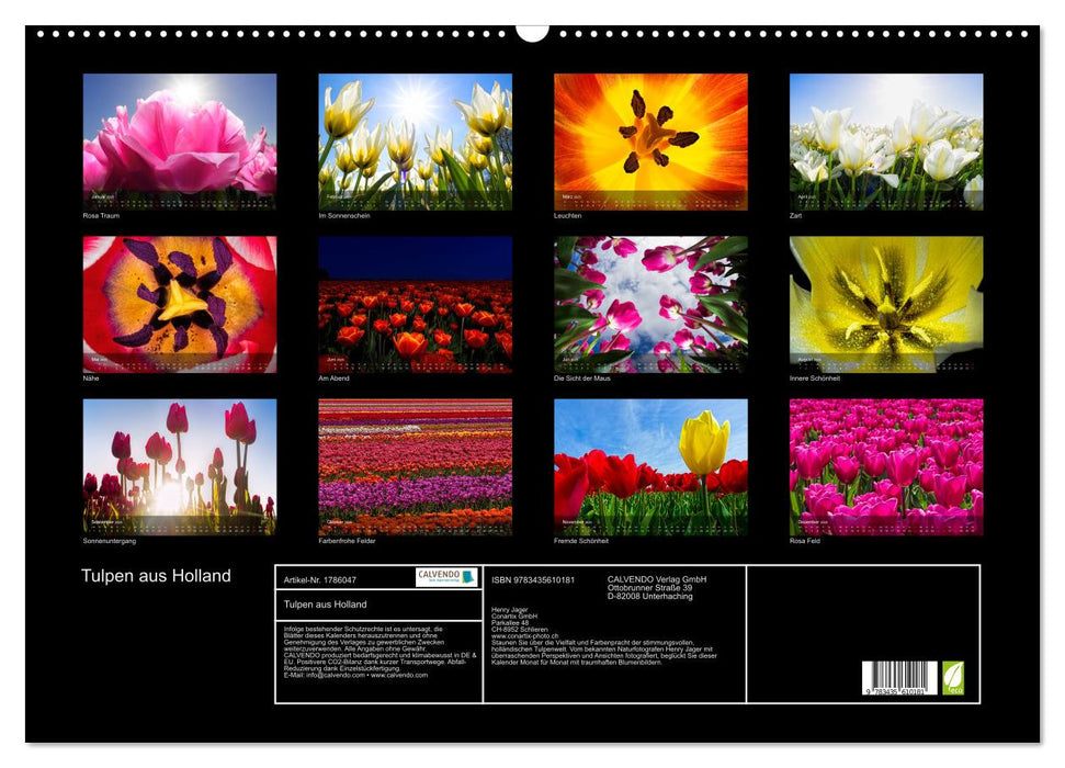 Tulpen aus Holland (CALVENDO Wandkalender 2025)